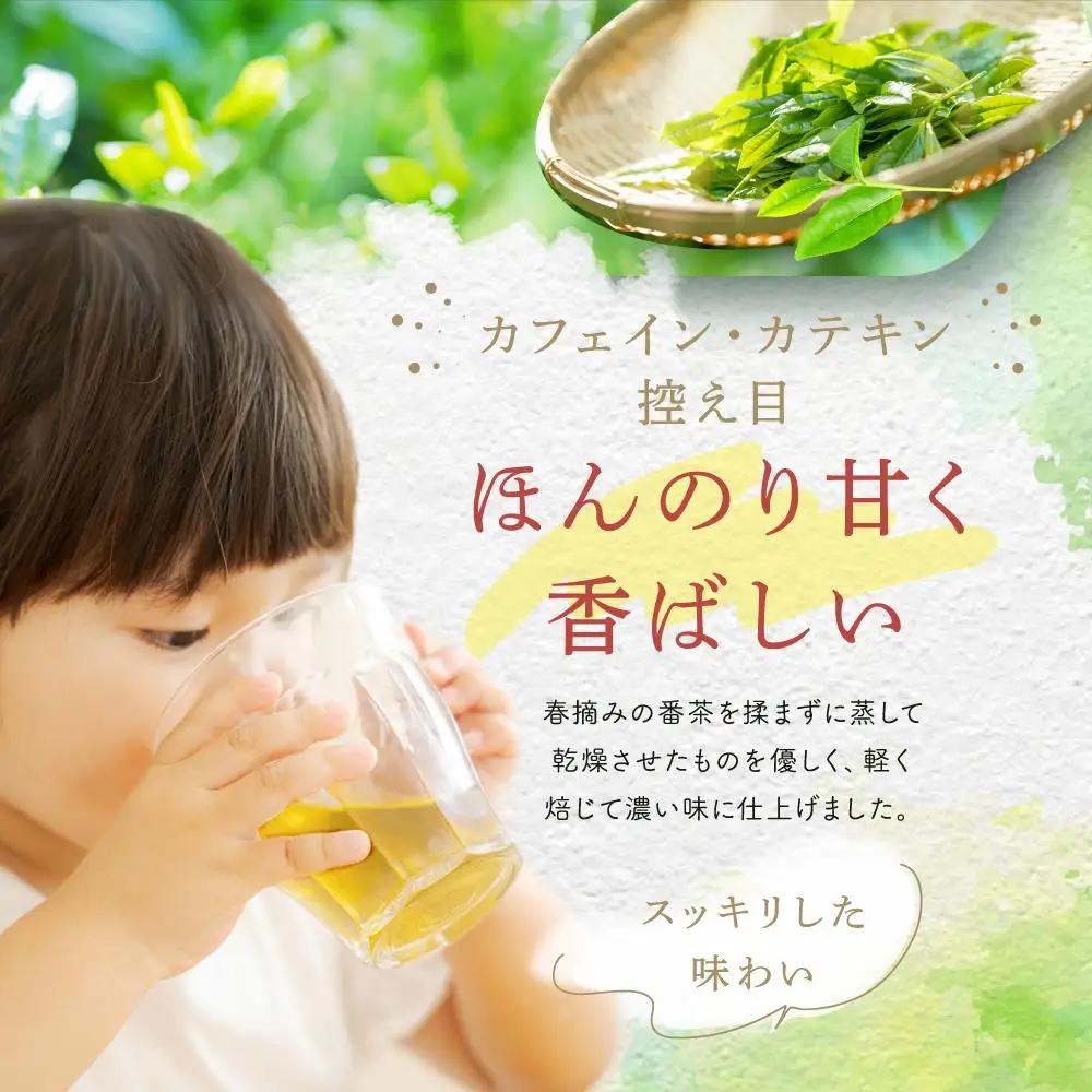 日本5大銘茶朝宮茶を使った赤ちゃん番茶ティーバッグ5g×18個　5本セット