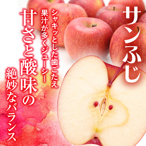 りんご 訳あり 青森 サンふじ 約 10kg (28～36玉) リンゴ サイキチ農園 青森県 鰺ヶ沢町産 フルーツ 果物 不揃い 傷 林檎 サンフジ ふじ