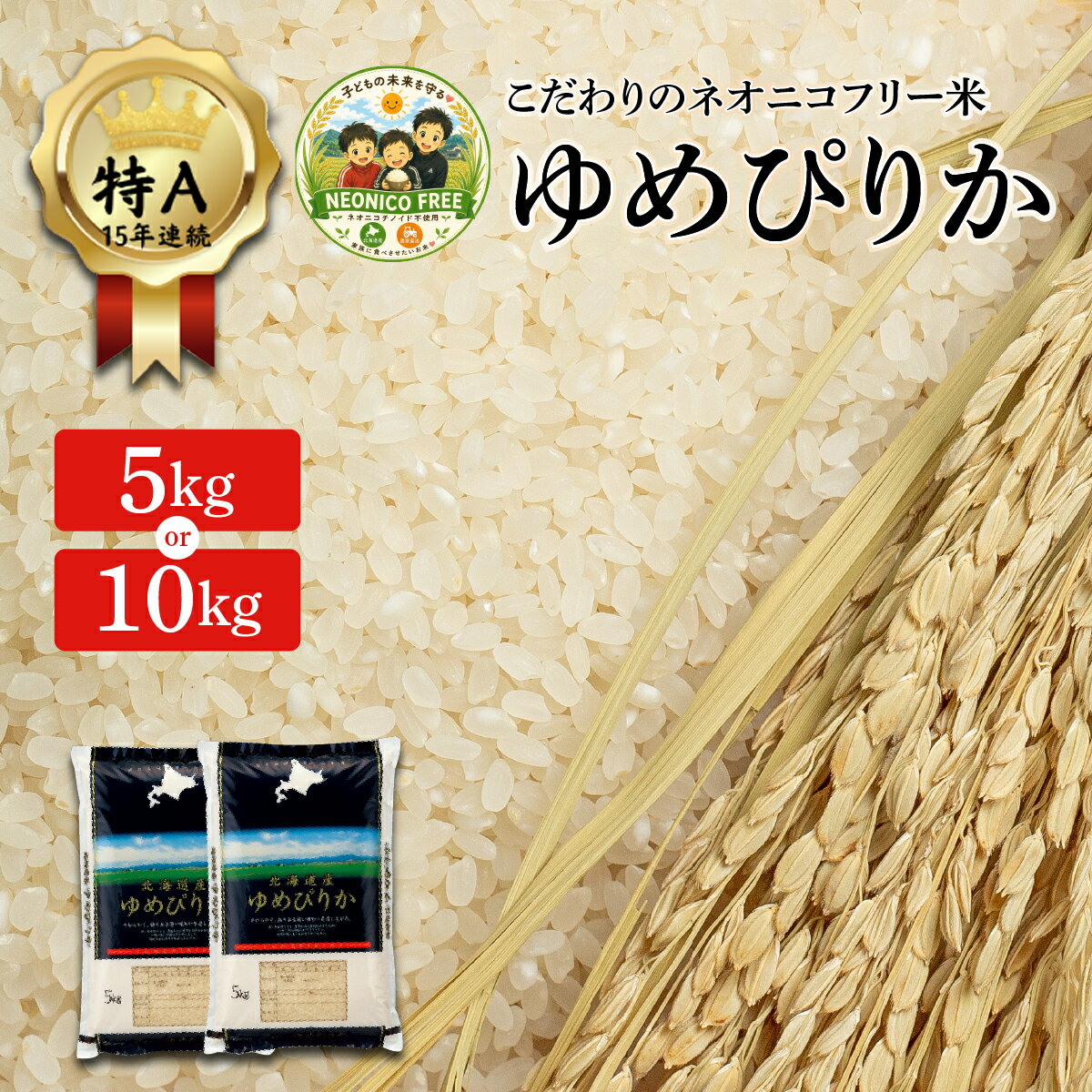 【ふるさと納税】【選べる内容量】令和7年産 アグリプロ未来のゆめぴりか 5kg〜10kg【a178-001-sku】北海道 岩見沢市 北海道産 お米 米 精米 白米 ご飯 ごはん