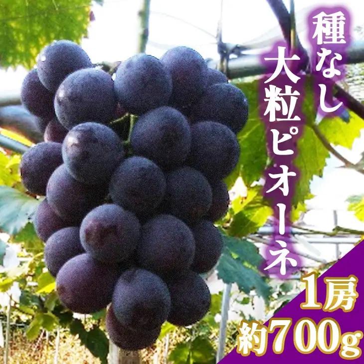 ぶどう ピオーネ 1房 約700g ぶどう