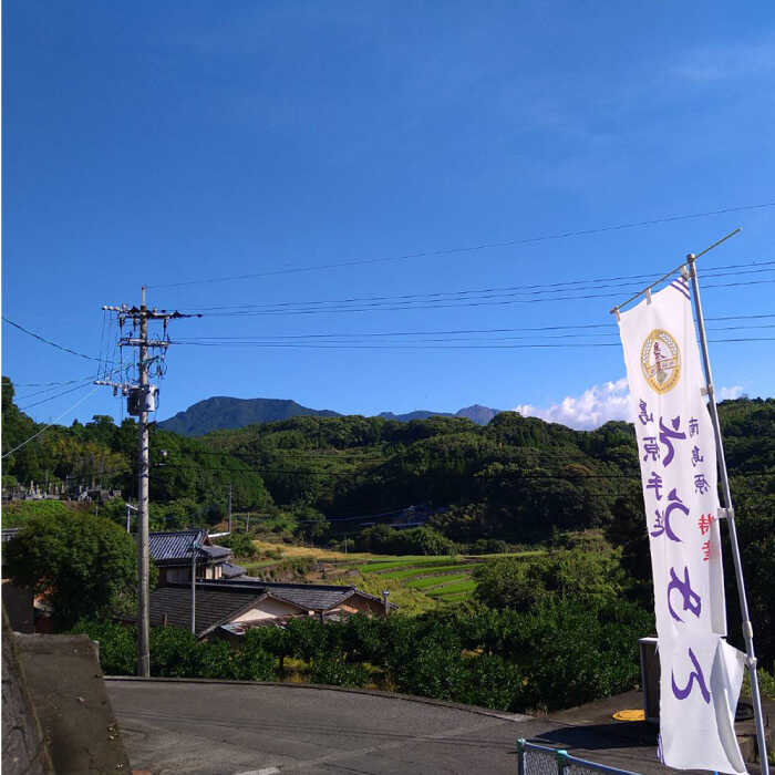 【島原 手延 そうめん】2年蔵出し そうめん 原城 2kg  / 南島原市 / 宮崎製麺所 [SDN002]_イメージ4