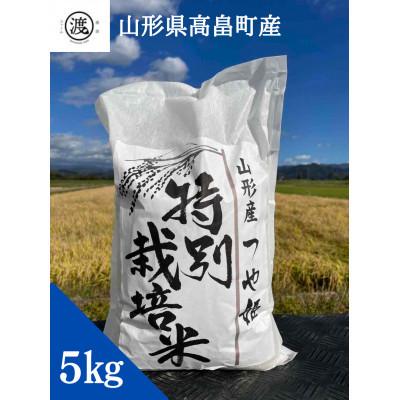 ふるさと納税 高畠町 【毎月定期便】【山形県高畠産】特別栽培米 つや姫 5kg全3回