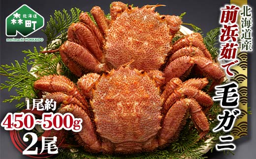 【12/27~12/31にお届け】北海道 毛ガニ 容量が選べる 前浜茹で毛がに 約450g~500g 2尾 かに カニ 蟹 ガニ がに 森町 毛蟹 毛かに 毛がに 毛カニ 毛ガニ mr1-1525