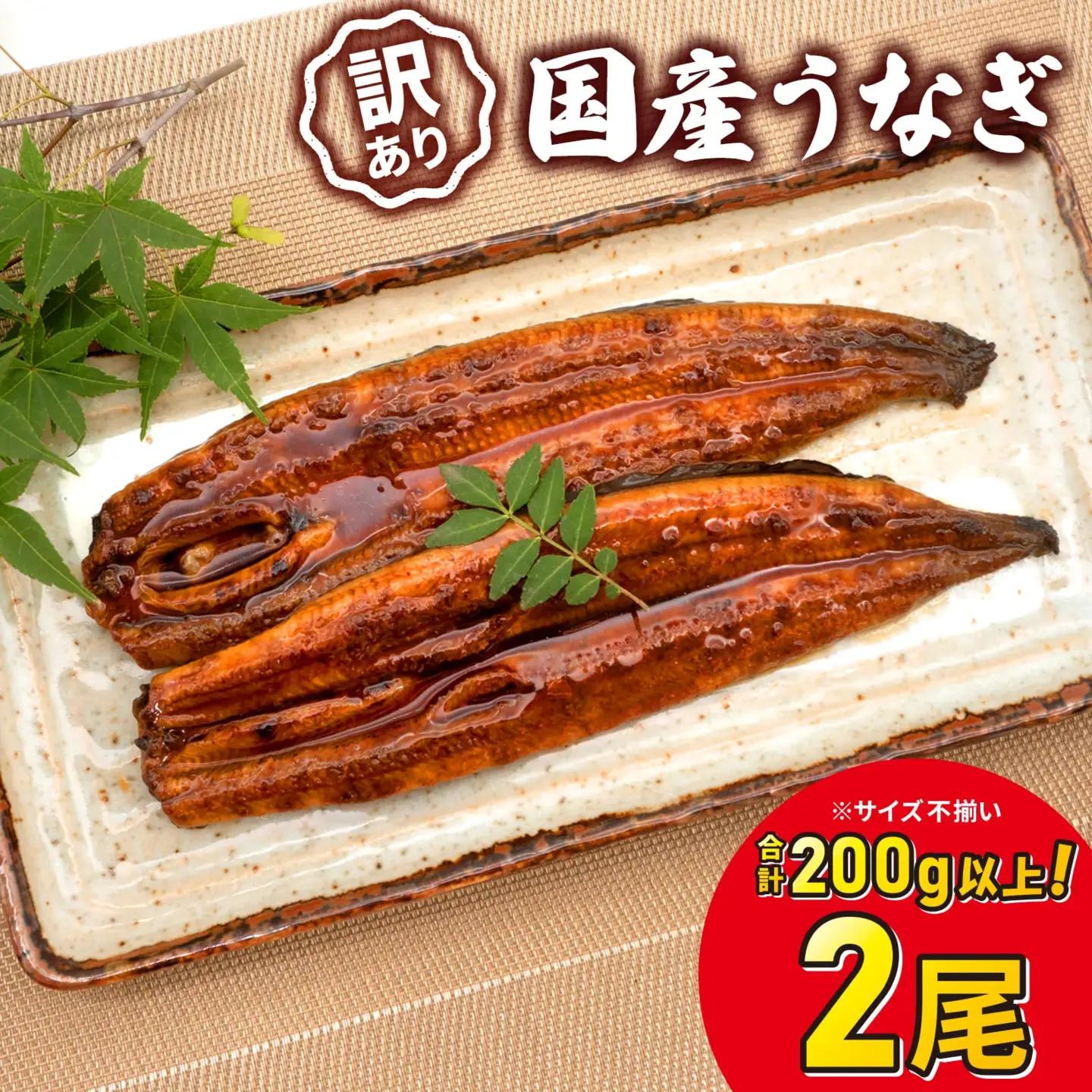 うなぎ蒲焼 2尾 国産 訳あり うなぎ 鰻 K2629