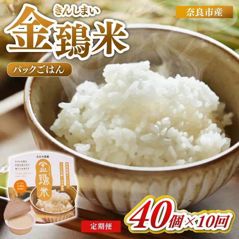 定期便 パックごはん 白米 40個×10回