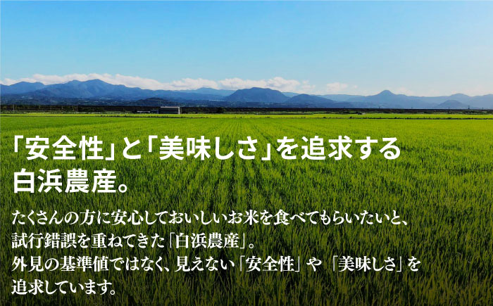 【先行予約 2026年11月～発送】【6回定期便】令和8年産 こだわりのさがびより 10kg×6回（白米）【白浜農産】令和8年産 米 60kg 10kg お米 さがびより 特A 特別栽培米 佐賀 白石