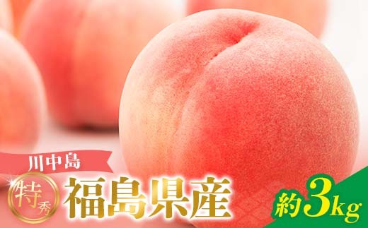 
                  2026年先行予約 糖度12度以上 特秀 福島県産 川中島白桃 約3kg 透過式光センサー選別  数量限定 期間限定 桃 もも モモ 果物 くだもの フルーツ F20C-778
                