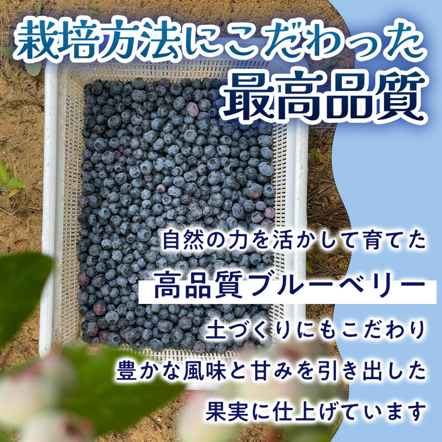 ＜ 先行予約 ＞?ブルーベリージャム 110g 無添加 摘みたて 手作り 果実 100% アントシアニン トッピング
