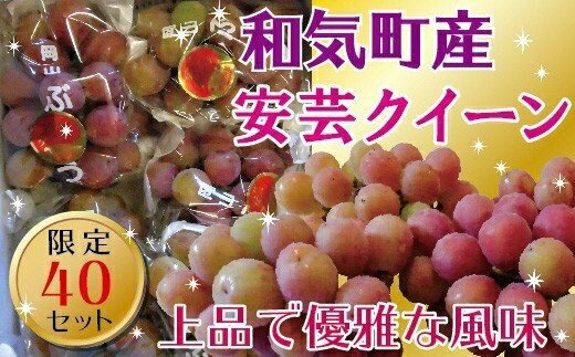 【ふるさと納税】安芸クイーン2.0kg（4〜5房） TT-115