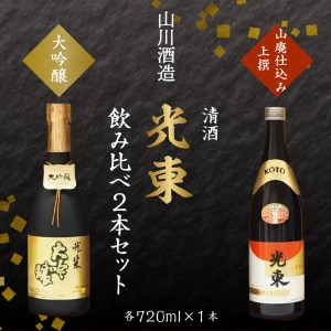 日本酒 大吟醸 清酒 【光東】地酒 セット 群馬県 千代田町 ＜山川酒造＞ ※沖縄・離島地域へのお届け不可 晩酌 純米吟醸 山廃仕込み 本醸酒 お酒 冷酒 熱燗 飲み比べ 詰め合わせ 送料無料 お取り