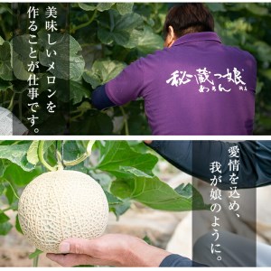 【春限定】極上メロン「秘蔵っ娘」白玉(青肉)2個 メロン マスクメロン 果物 くだもの デザート 青肉 b5-037-s