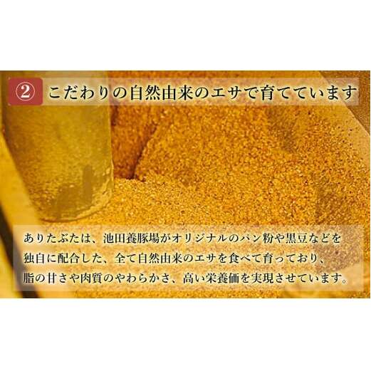 【人気！豚肉7種セット】ありたぶた バラエティSセット (豚肉7種) 小分け 真空パック 豚肉 ロース バラ ウインナー ソーセージ ハンバーグ N20-48_イメージ4