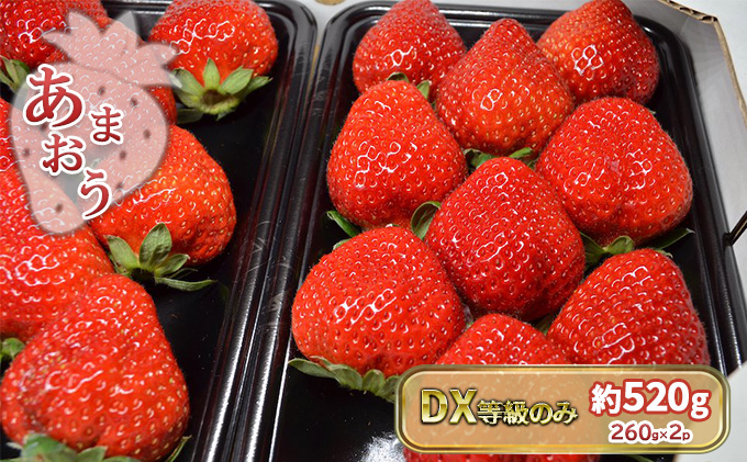 いちご あまおう DX 等級のみ 約520g（260g×2パック）配送不可 北海道 東北 沖縄 離島 