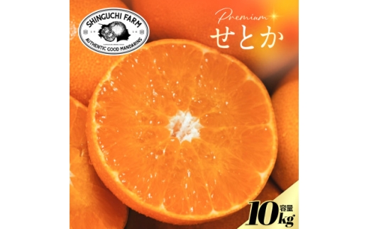 ＜数量限定＞老舗農家が見極めたプレミアム＜せとか10kg＞柑橘の大トロ＜H70-116＞【1683916】