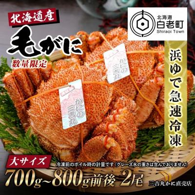 ふるさと納税 白老町 北海道産ボイル毛ガニ 700g〜800g前後×2尾 冷凍