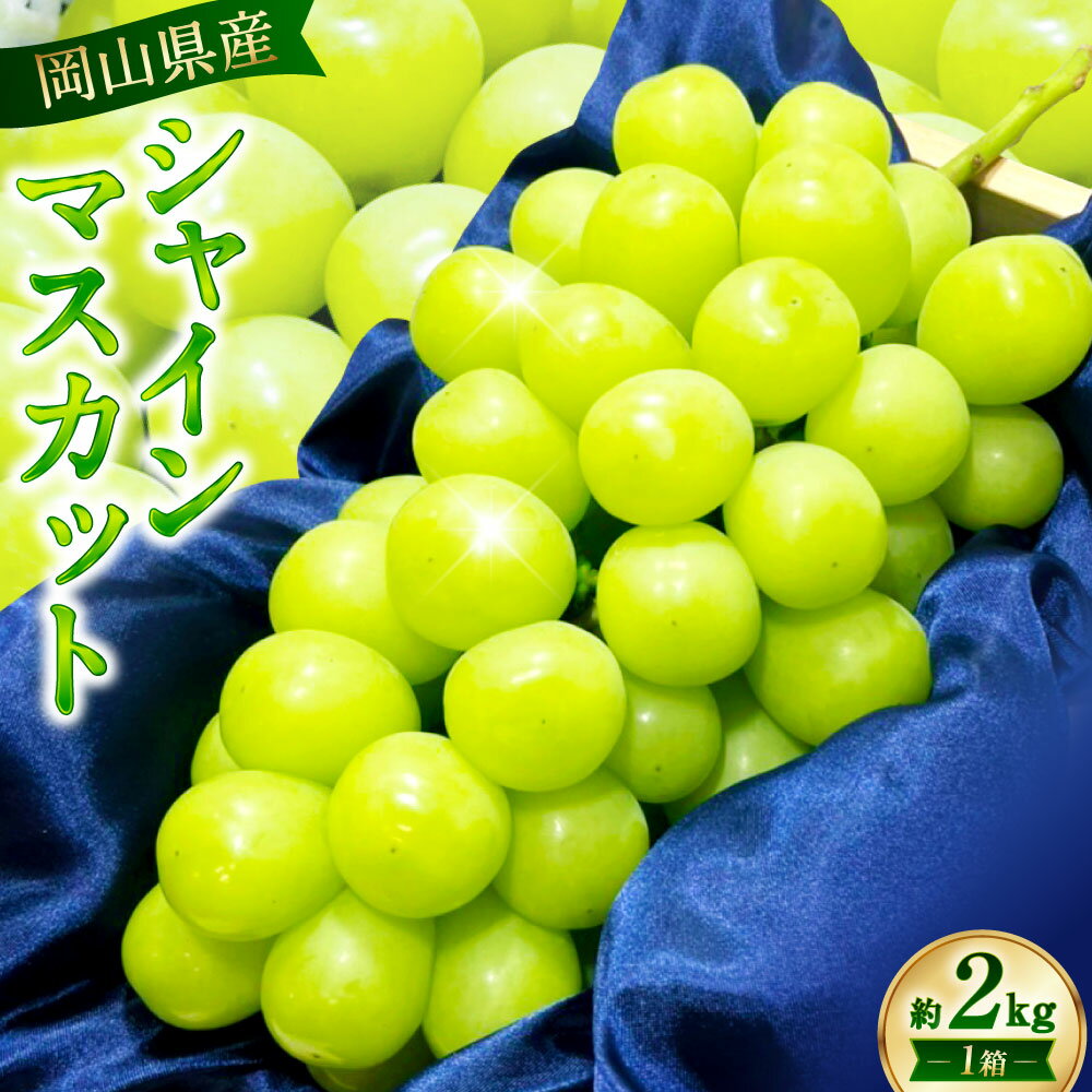 【ふるさと納税】【先行予約】岡山県産 シャインマスカット 約2kg 1箱 マスカット ぶどう ブドウ フルーツ 果実 くだもの 果物 お取り寄せ 常温 岡山県 美咲町 送料無料 【2025年9月下旬-10月下旬発送予定】