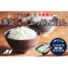 蒸気で炊いたふっくらごはん 12個セット