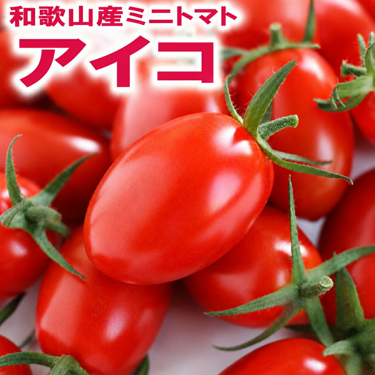 【ふるさと納税】和歌山産ミニトマト「アイコトマト」（M・Lサイズおまかせ）【1kgまたは2kg】【発送月をお選びいただけます】