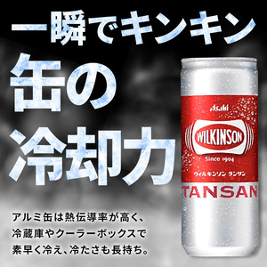 ウィルキンソン タンサン 250ml缶 20本入[ WILKINSON TANSAN 炭酸 炭酸水 強炭酸 缶 飲料 ]