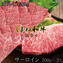 【ふるさと納税】 しまね和牛 詰合せ ／ 牛 サーロイン ステーキ 200g 3枚 カルビ 500g 焼肉 柔らか 牛肉 肉 島根 和牛 ブランド 全国和牛能力共進会 2022 肉質 1位