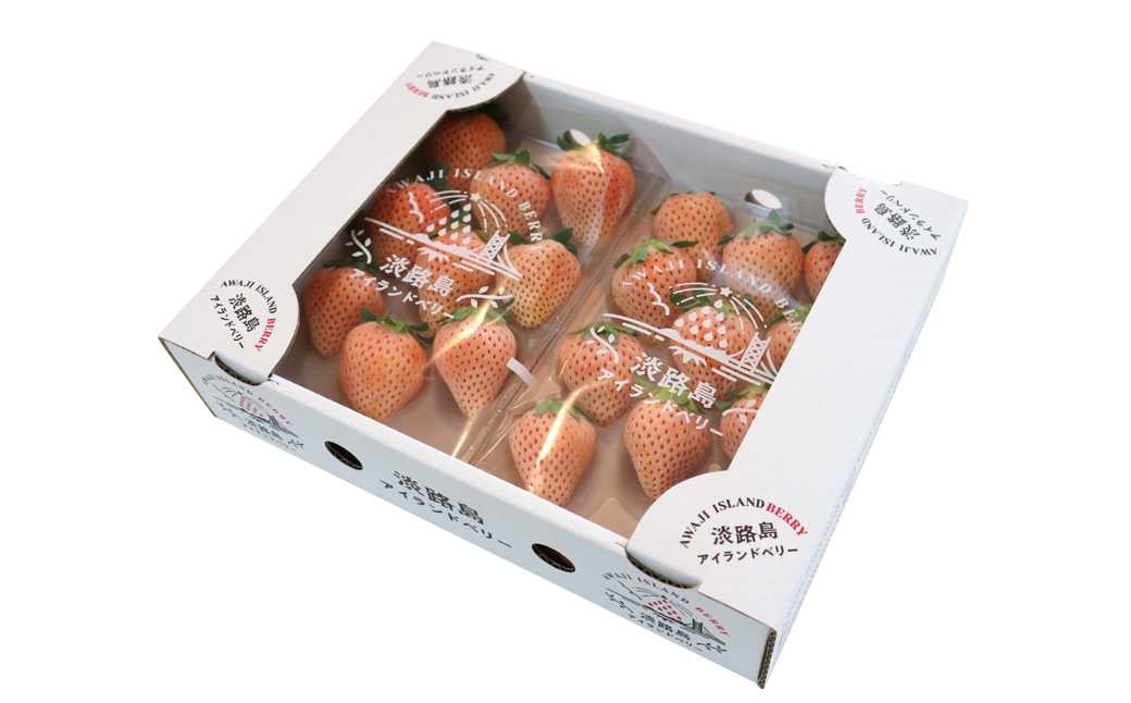 淡路島アイランドベリー 白苺淡雪【2026年4月発送予約受付・お届け日指定不可】　白いちご