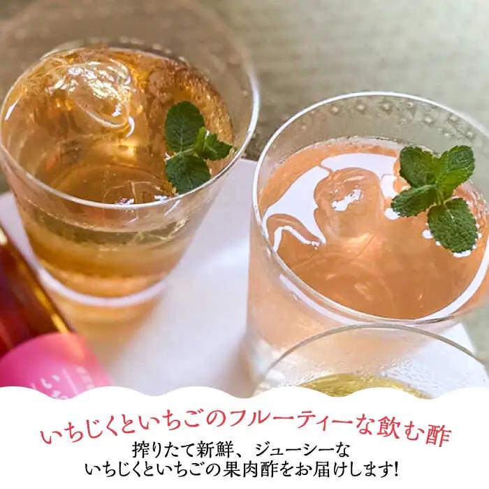 【全12回定期便】＜いちじく美人・いちご美人＞ 飲む酢 2本 セット[VBW022]地産 福岡 万能 調味料 酢