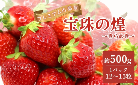 奈良県 佃農園 プレミアム古都華【宝珠の煌（きらめき）】 いちご ことか フルーツ 果物 旬 冷蔵 大和郡山 BN001