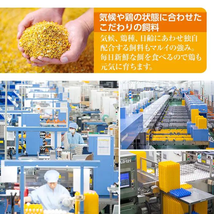 i020 鹿児島県産 赤たまご マルイの輪 卵 36個 (6個入り×6パック)【マルイ食品】