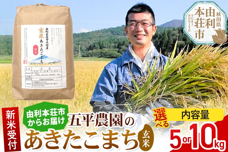 
                  《令和8年産 新米受付》【玄米】あきたこまち【選べる容量 5kg／10kg】秋田県産 五平農園の あきたこまち 《11月下旬～12月下旬発送予定》 [あきたこまち 新米受付 米 お米 こめ ブランド 玄米 食卓 おにぎり 秋田県産 秋田県 由利本荘市]
                