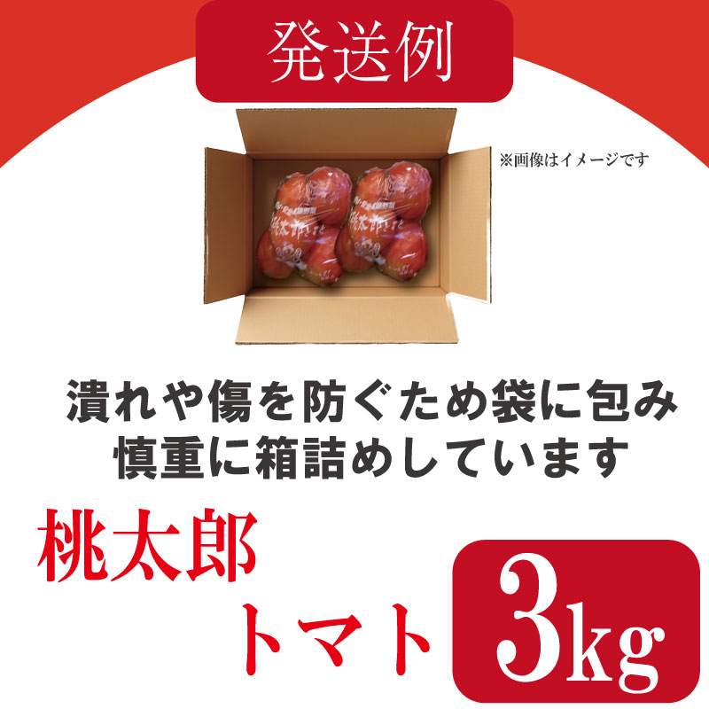 【2026年3月発送】 トマト 3kg 桃太郎 先行予約  甘い 野菜 やさい 国産 産地直送 数量限定 旬 桃太郎トマト 生野菜 新鮮 ソース 調味料 ケチャップ サラダ 美容 新鮮 健康 お取り寄