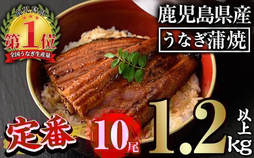 無投薬！鹿児島県産うなぎ蒲焼セット＜定番＞(計1.2kg以上・ 約120g×10尾) タレ・山椒付き 鰻 ウナギ 国産【西日本養鰻】C45