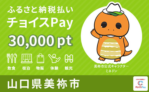 
美祢市チョイスPay 30,000pt（1pt＝1円）【会員限定のお礼の品】
