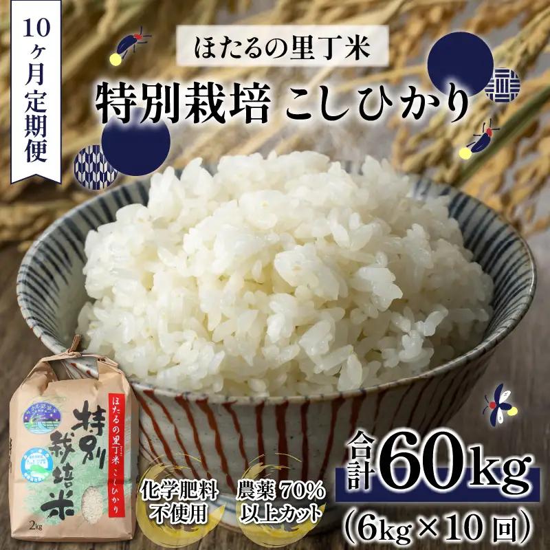 【新米予約受付中】令和8年産 特別栽培こしひかり 6kg 10回定期便【O-002001】