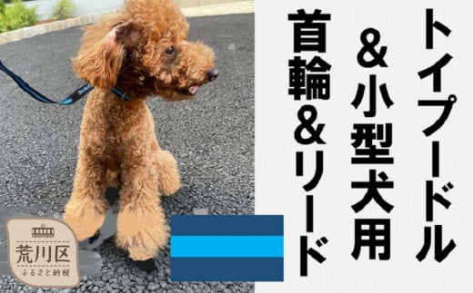 
トイプードル及び小型犬用カラー（首輪）＆リード(カラー：紺・水色・紺)
