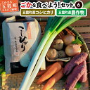 【ふるさと納税】ごかを食べよう!セット6(精米5kg、農産物おまかせ4種類程度)【1279610】