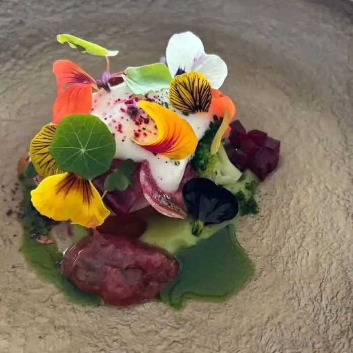 季節のエディブルフラワー50輪おまかせ 桂川町/NOGAMI FARM [ADAU001] 食用 花 食用花 エディブルフラワー 盛り付け カフェ
