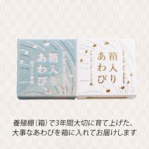 箱入りあわび メキシカンチリスープ風 白ワイン煮風 2個セット ＼ 鮑 ／