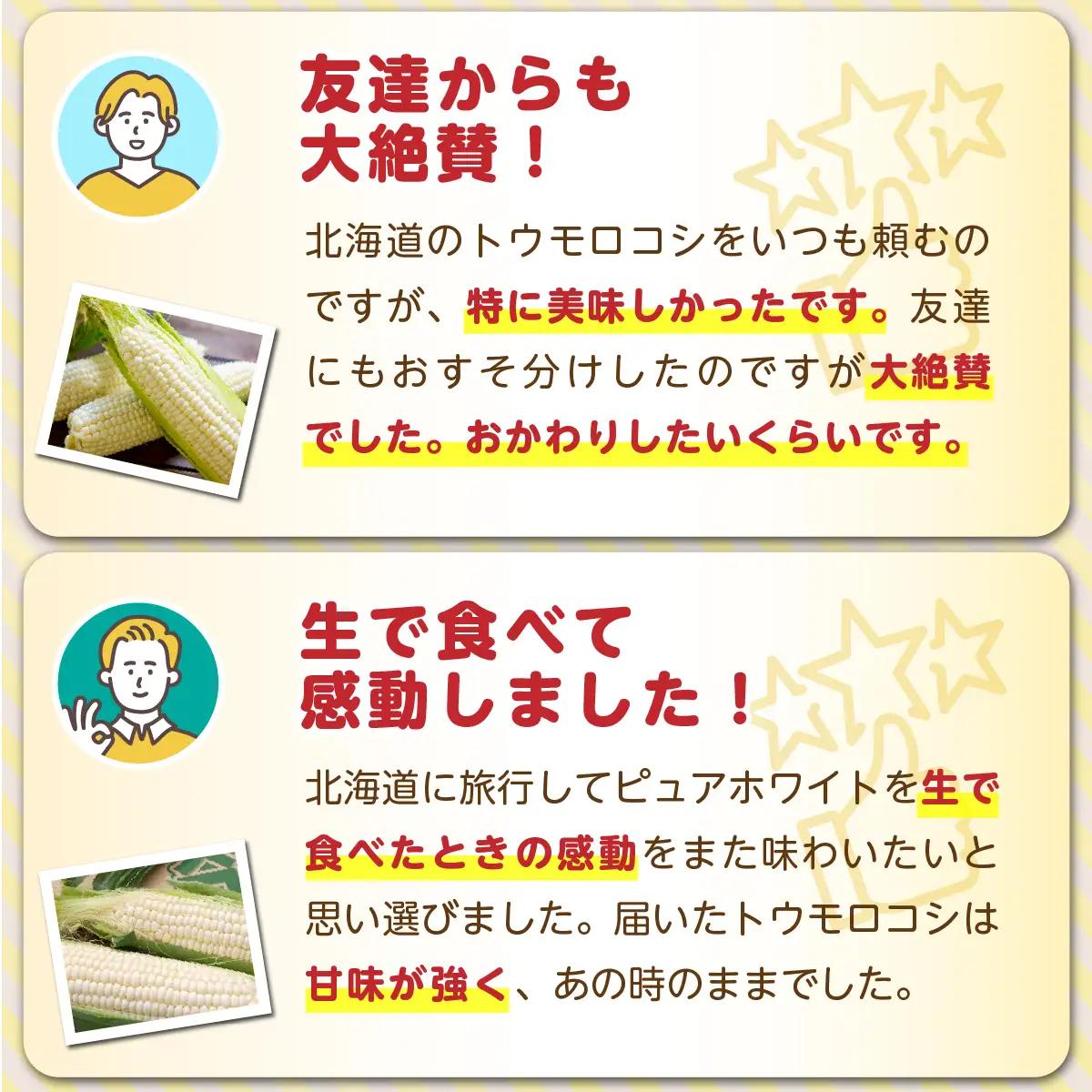 ＜2026年8月中旬よりお届け＞【朝採り】北海道壮瞥町産 ホワイトコーン「ピュアホワイト」Lサイズ以上6本（約2.5kg） SBTQ004