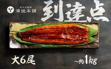 ふっくら肉厚！『国産うなぎ』蒲焼 大 6尾 うなぎ