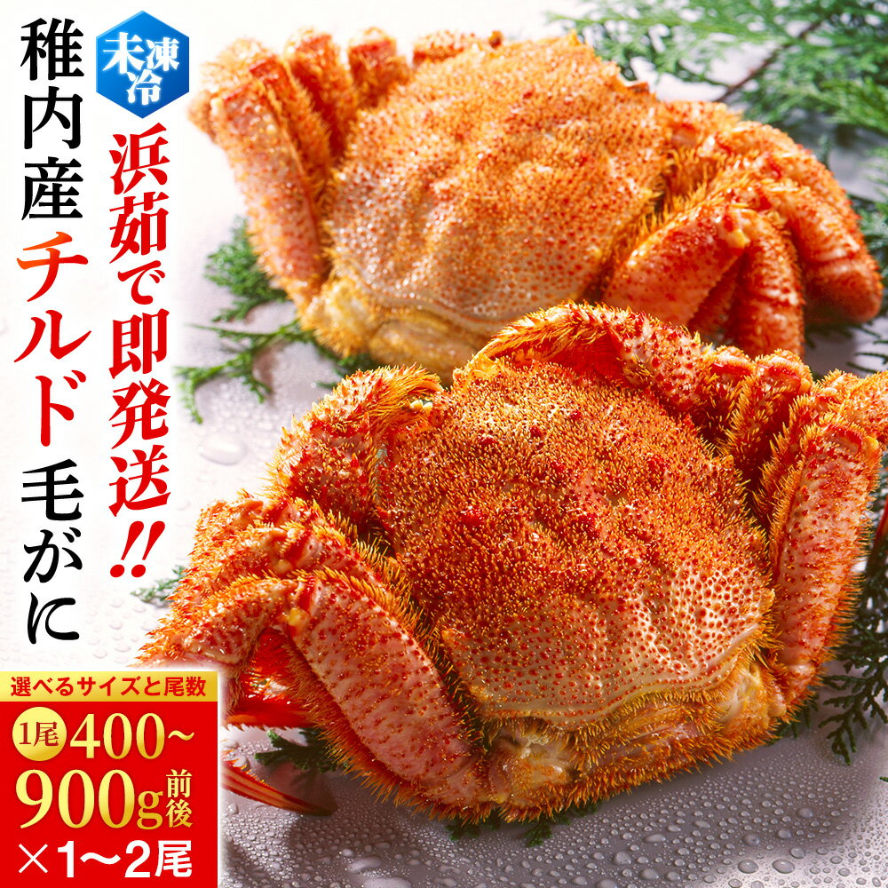 【ふるさと納税】【未冷凍でお届け！】稚内産チルド毛がに 選べる1～4尾（1尾400g～900g） 計800g～2.8kgボイル 毛がに 毛ガニ 毛蟹 ボイル 蟹 カニ 冷蔵 北海道ふるさと納税 稚内 ふるさと納税 北海道 【配送不可地域：離島】