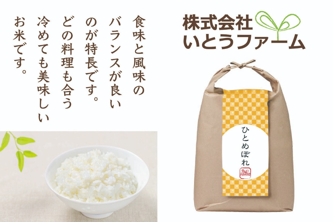 【3ヶ月定期便】いとうファームの 令和7年産「ひとめぼれ」15kg×3回 計45㎏ / 米 お米 精米 白米 ご飯 米定期便 産地直送 【itofarm017】