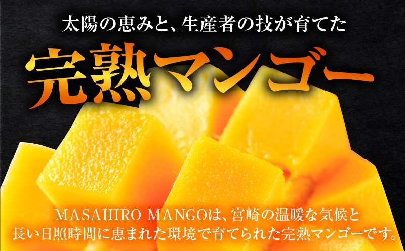 《2026年発送先行予約》【数量・期間限定】【農家直送】MASAHIRO MANGO 宮崎県産完熟マンゴー 2Lサイズ×2玉 完熟マンゴー マンゴー 果物