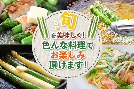 新鮮朝獲れ！！鹿島市産 アスパラガス 合計500g 【美味しい野菜で彩を】アスパラ 野菜 やさい 九州 国産 佐賀　6601611