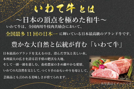 特製 ローストビーフ 600g (ソース付き) 黒毛和牛 いわて牛 ブランド牛 国産 和牛 牛肉 肉 セット 日本一 全国最多 冷凍 良質の脂 上質な牛肉 モモ肉 稲ワラ 循環型農業 米の産地 岩手 