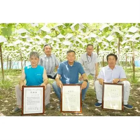 【2026年発送】ハウス栽培7月出荷シャインマスカット(2房約800g)世界農業遺産認定地特産【配送不可地域：離島】【1296283】