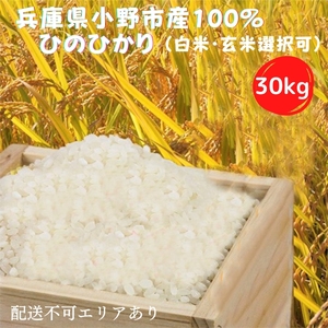 兵庫県小野市産100％ ひのひかり お米 30kg《令和7年産》（白米 ・ 玄米 選択可） ライス ご飯 銘柄米 お弁当 おにぎり 粒の厚み 艶 粘り旨味 兵庫県産  白米