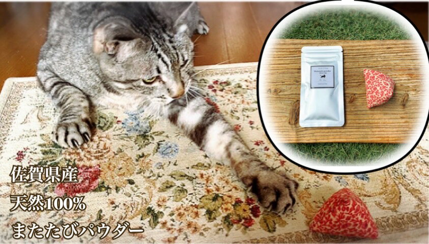 【ふるさと納税】猫用☆天然100％無添加・ 無農薬またたびパウダー＆蹴りぐるみ1個（FB103）