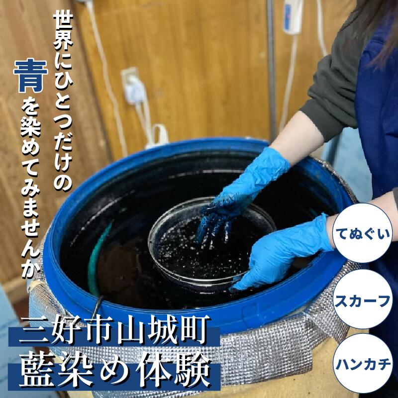 【ふるさと納税】 藍染 体験 徳島県 三好市 選べる ハンカチ てぬぐい ストール 旅行 観光 小物 阿波 藍染め 阿波藍 天然藍 伝統 技術 民芸 工芸 日用品 おしゃれ ファッション 家庭用 プレゼント ギフト 国産 徳島県 三好市 みよし AO みっつの夢