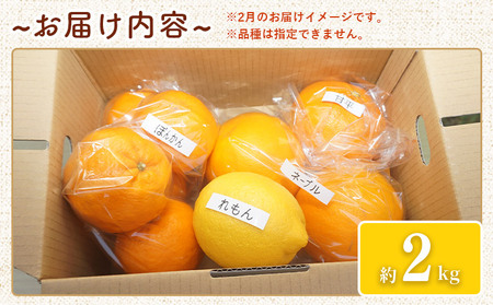 【先行予約】＜笑丸のお楽しみ柑橘福袋（家庭用）約2kg＞ 自宅用 訳あり 果物 くだもの フルーツ ミカン みかん 蜜柑 高級柑橘 詰め合わせ 春柑橘 春みかん 夏柑橘 特産品 笑丸 愛媛県 西予市 