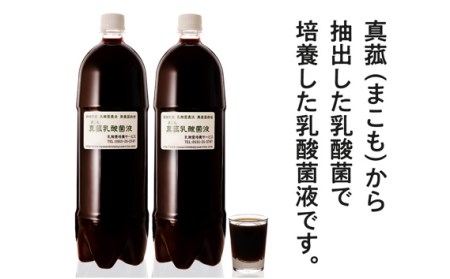 No.103 真菰（まこも）乳酸菌液　1.5L×2本